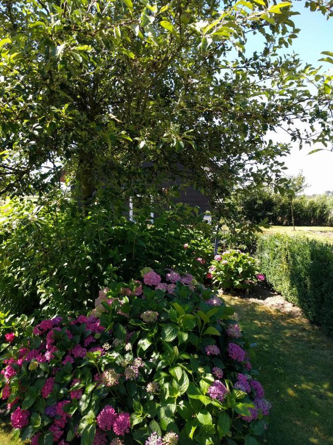 B&B Agnetenhoeve Overasselt Extérieur photo