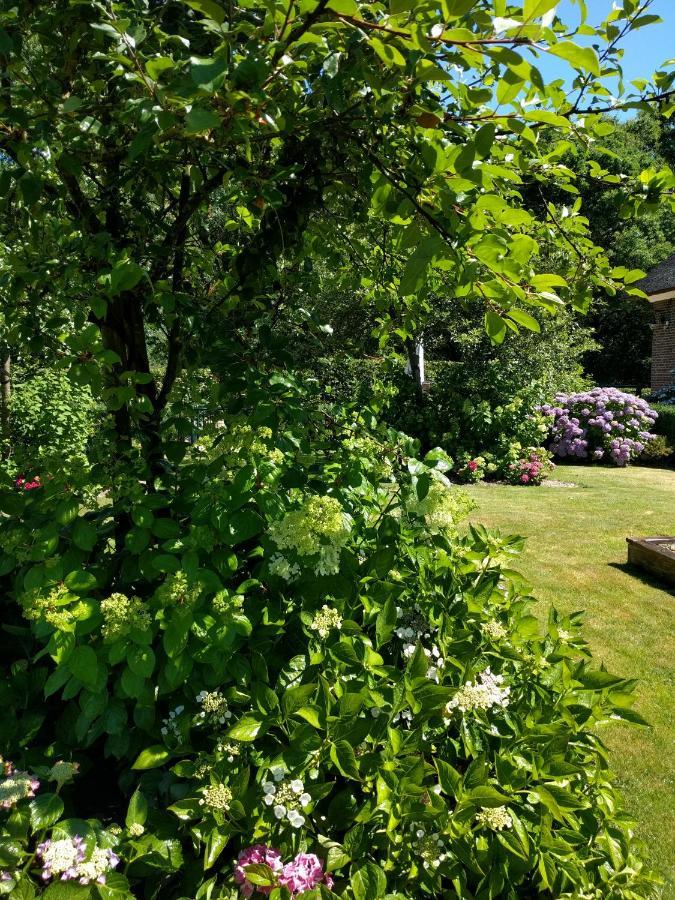 B&B Agnetenhoeve Overasselt Extérieur photo
