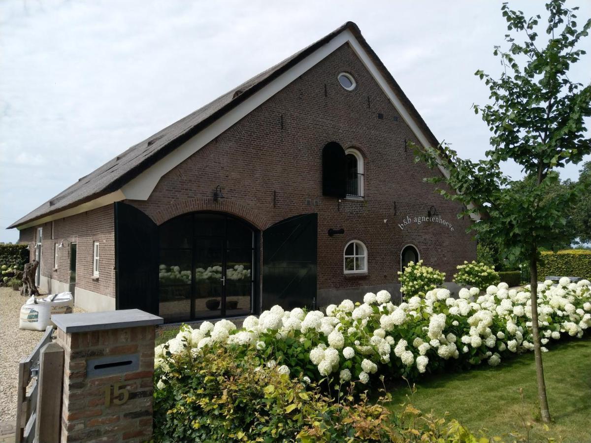 B&B Agnetenhoeve Overasselt Extérieur photo